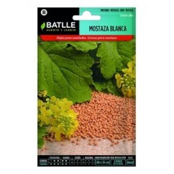 Mostaza Blanca