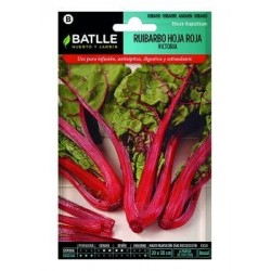 Ruibarbo Hoja Roja Victoria