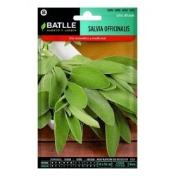 Salvia Officinalis