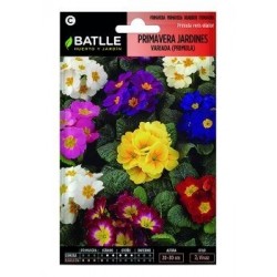 Primavera Jardines Variada